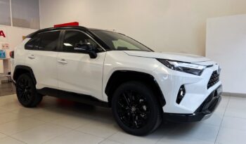 Toyota Rav 4 220h Style lleno