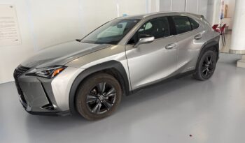 LEXUS UX 2.0 250h Business lleno
