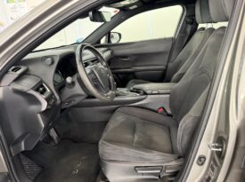 LEXUS UX 2.0 250h Business