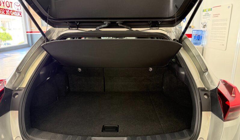 LEXUS UX 2.0 250h Business lleno